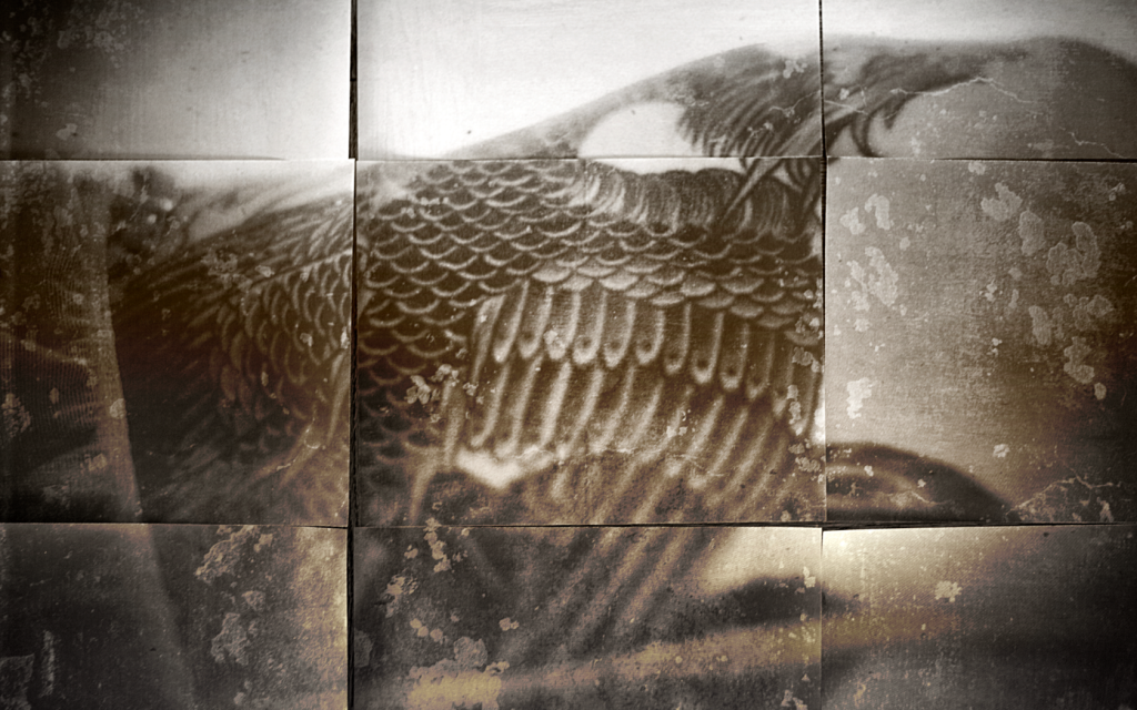 phoenix